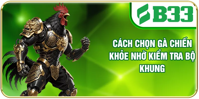 Cách chọn gà chiến khỏe nhờ kiểm tra bộ khung