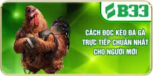 Cách Đọc Kèo Đá Gà Trực Tiếp Chuẩn Nhất Cho Người Mới