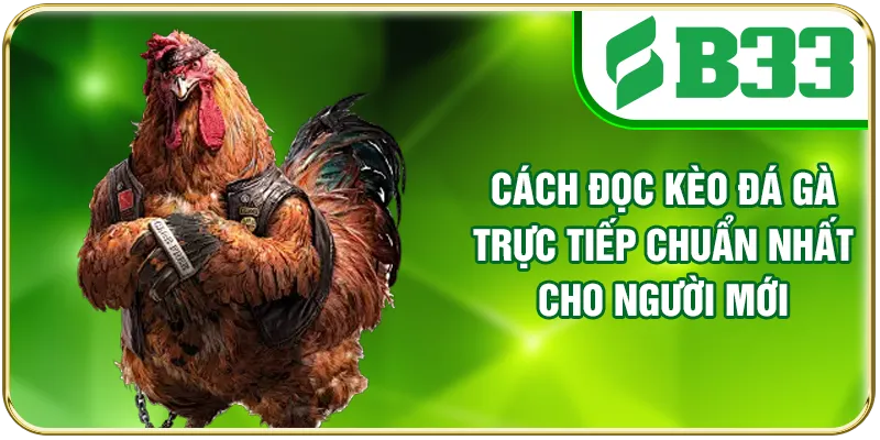 Cách Đọc Kèo Đá Gà Trực Tiếp Chuẩn Nhất Cho Người Mới