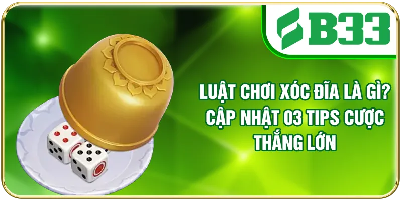 Luật Chơi Xóc Đĩa Là Gì? Cập Nhật 3 Tips Cược Thắng Lớn
