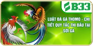 Luật Đá Gà Thomo - Chi Tiết Quy Tắc Thi Đấu Tại Sới Gà