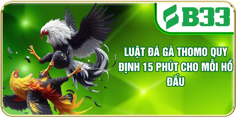 Luật đá gà Thomo quy định 15 phút cho mỗi hồ đấu