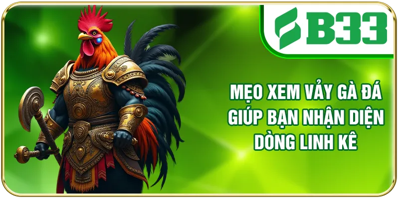 Mẹo xem vảy gà đá giúp bạn nhận diện dòng linh kê