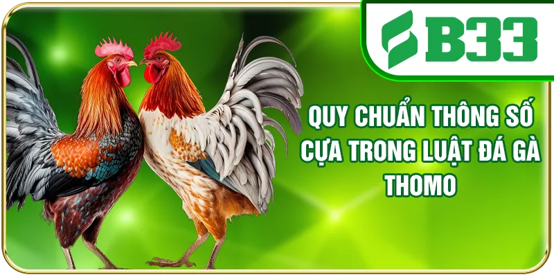Quy chuẩn thông số cựa trong luật đá gà Thomo