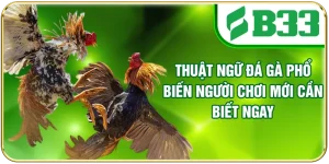Thuật Ngữ Đá Gà Phổ Biến Người Chơi Mới Cần Biết Ngay