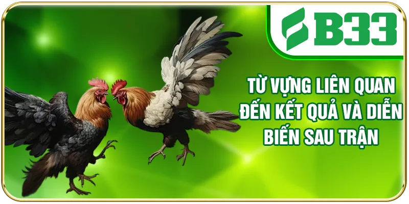 Từ vựng liên quan đến kết quả và diễn biến sau trận